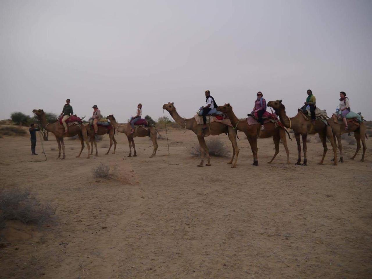 Sonal Desert Camp Jaisalmer Otel Dış mekan fotoğraf